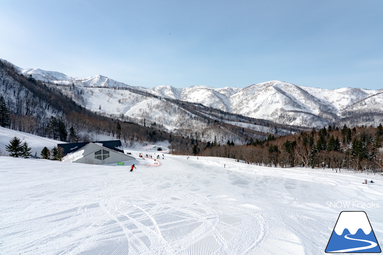 キロロリゾート｜今日の山頂積雪は「340cm」！ビシッと締まったロングコースで快適クルージングが楽しい１日♪